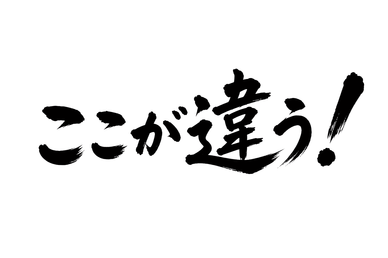 ここが違う!